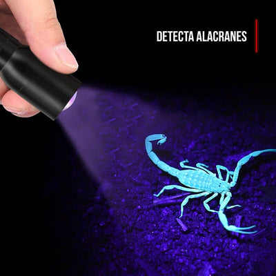 Linterna de Mano UV PX100 Negra Coast Coast 