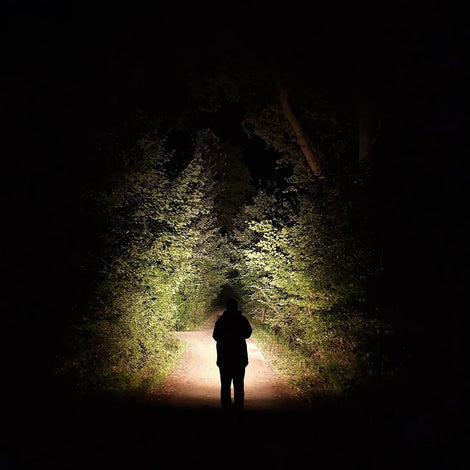 Linterna de Trabajo W5R Work Ledlenser Linterna Ledlenser 