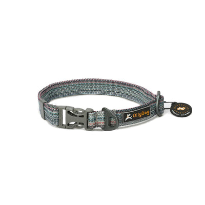 Collar Rústico para Perro PRISM Chico Multicolor Ollydog Ollydog 
