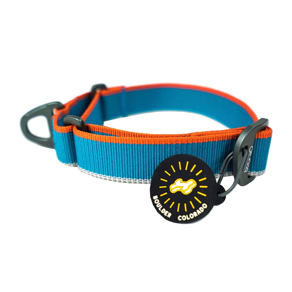 Collar Urbano para Perro AIR BLUE Chico Azul Ollydog Ollydog 