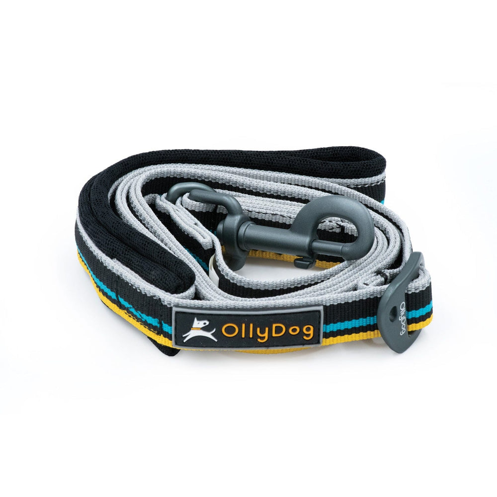Correa Urbana para Perro ANTHRACITE Negro Ollydog Ollydog 