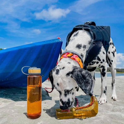 Botella de Agua para Perro 1 lt FLAME Naranja Ollydog Ollydog 