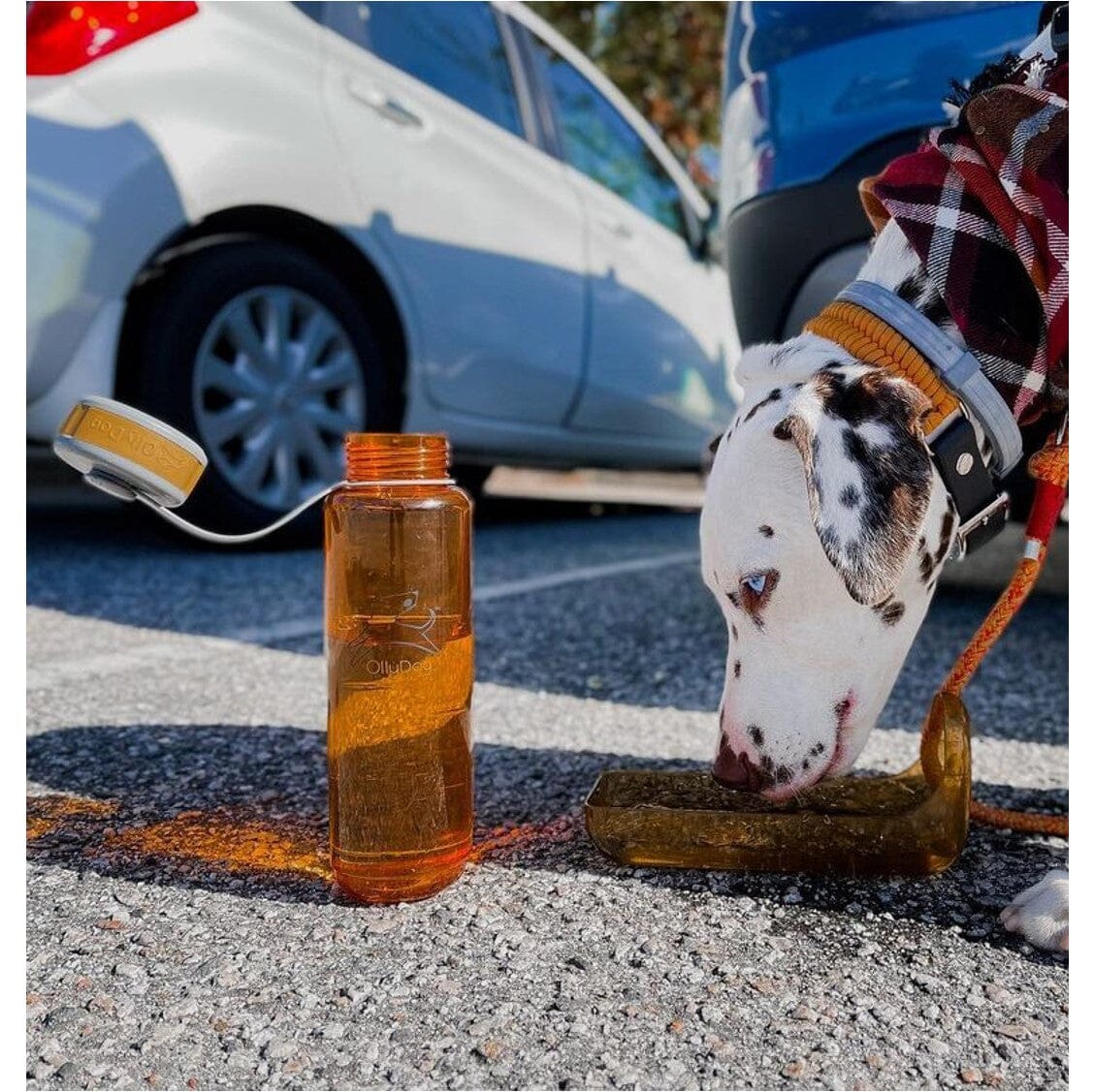 Botella de Agua para Perro 1 lt FLAME Naranja Ollydog Ollydog 