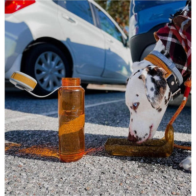 Botella de Agua para Perro 1 lt FLAME Naranja Ollydog Ollydog 