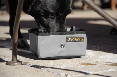 Tazón para Perro FLINT Gris Ollydog Ollydog 
