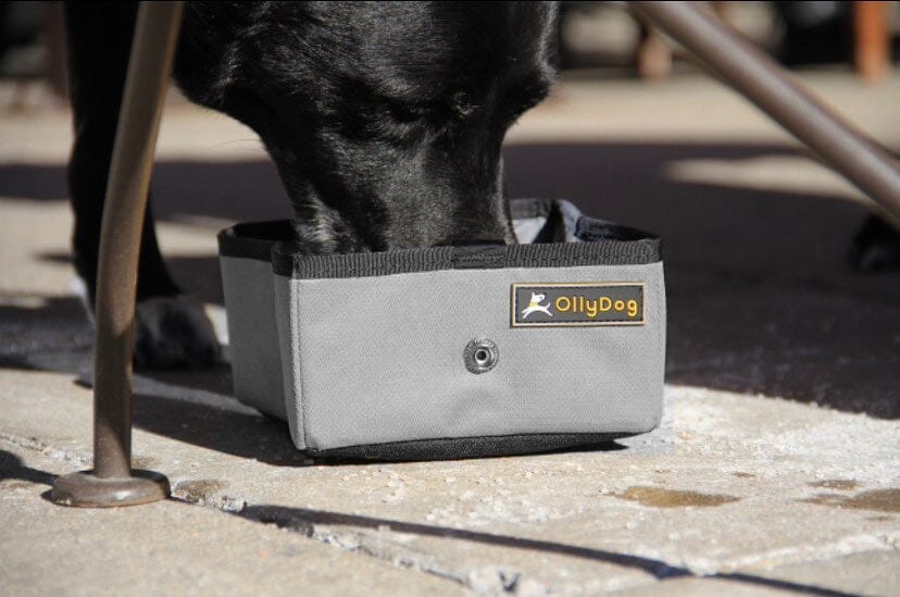 Tazón para Perro FLINT Gris Ollydog Ollydog 