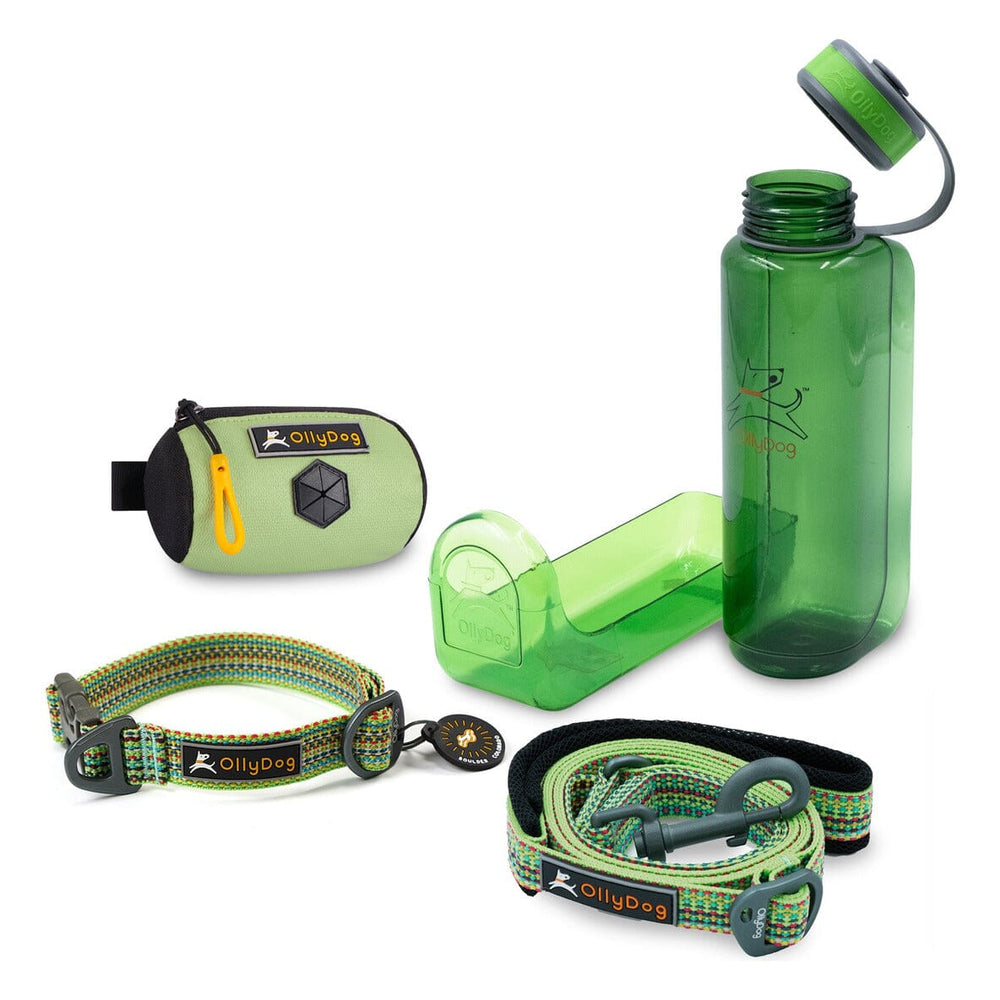 Kit De Viaje Para Mascotas Verde General Ollydog Verde 