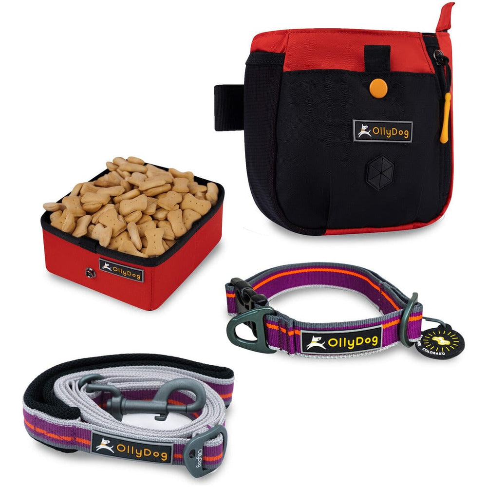 Kit De Viaje Para Mascotas Rojo General Ollydog Rojo 