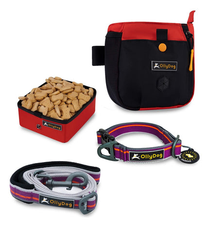 Kit De Viaje Para Mascotas Rojo General Ollydog Rojo 