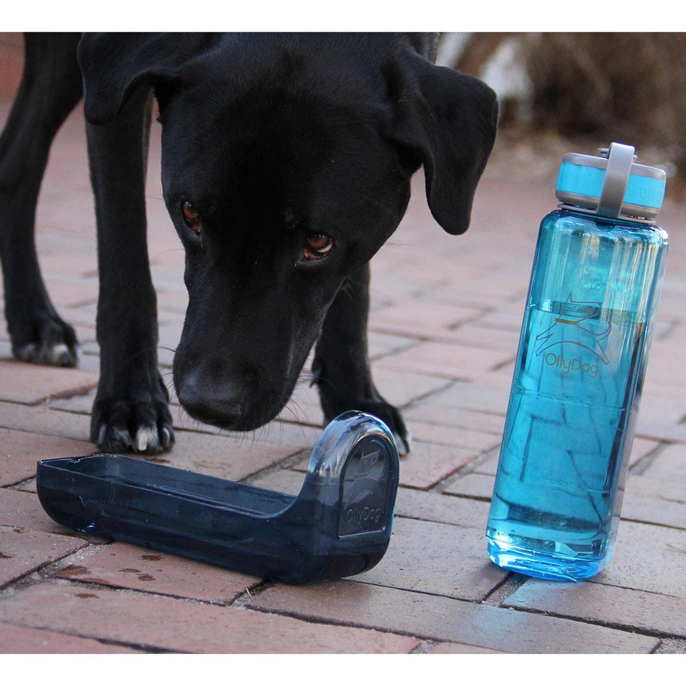 Botella de Agua para Perro 1 lt FLAME Naranja Ollydog Ollydog Naranja 