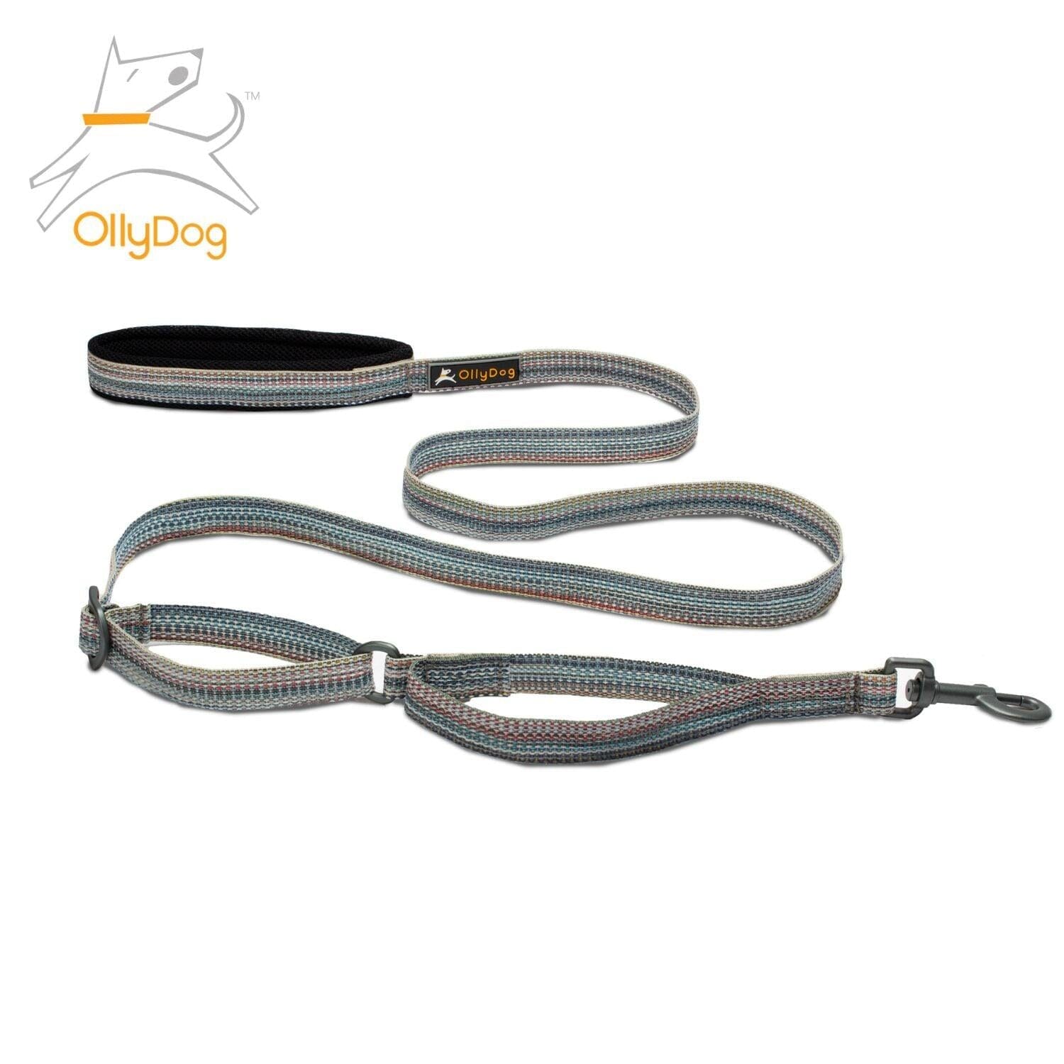 Correa Rústica para Perro PRISM Multicolor Ollydog Ollydog 