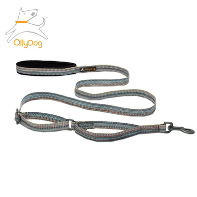 Correa Rústica para Perro PRISM Multicolor Ollydog Ollydog 
