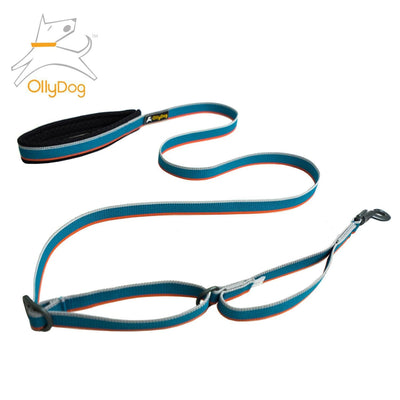 Correa Urbana para Perro AIR BLUE Azul Ollydog Ollydog 