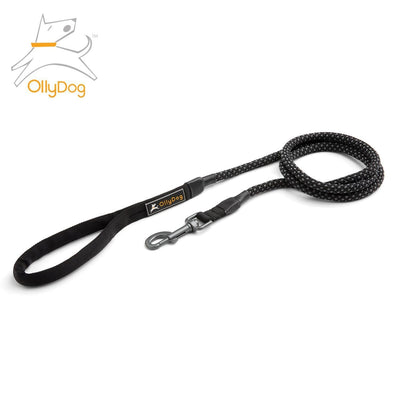 Correa de Montaña para Perro RAVEN BARK Negro Ollydog Ollydog 