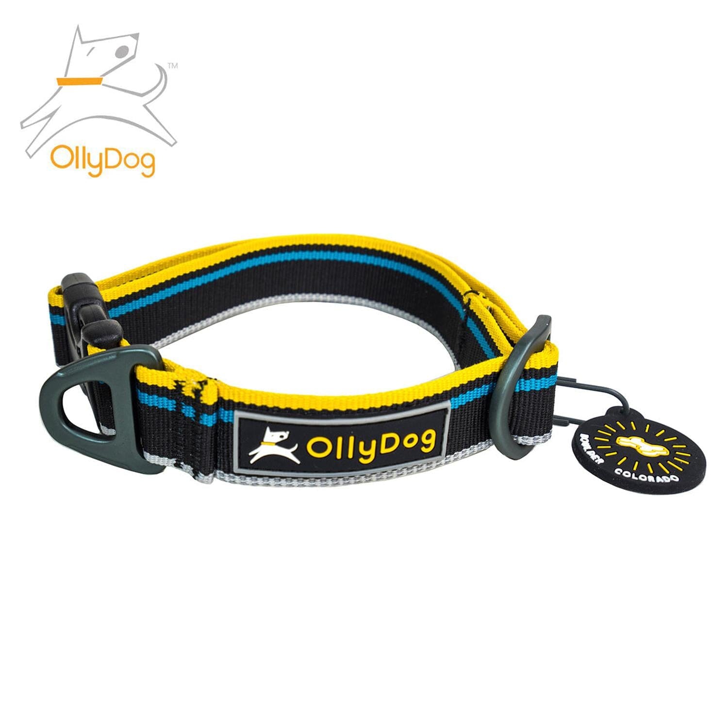 Collar Urbano para Perro ANTHRACITE Chico Negro Ollydog Ollydog Chico Negro 