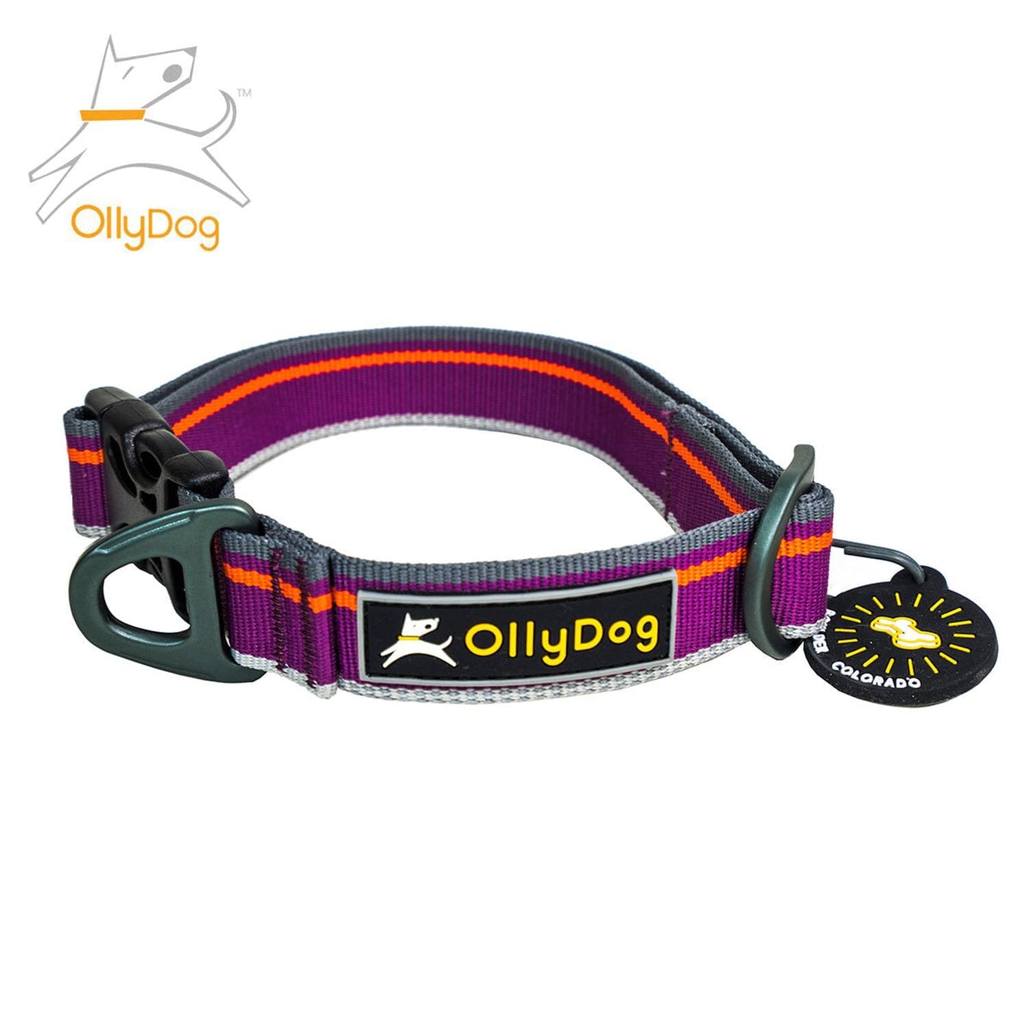 Collar Urbano para Perro WILD ASTER Chico Violeta Ollydog Ollydog Chico Violeta 