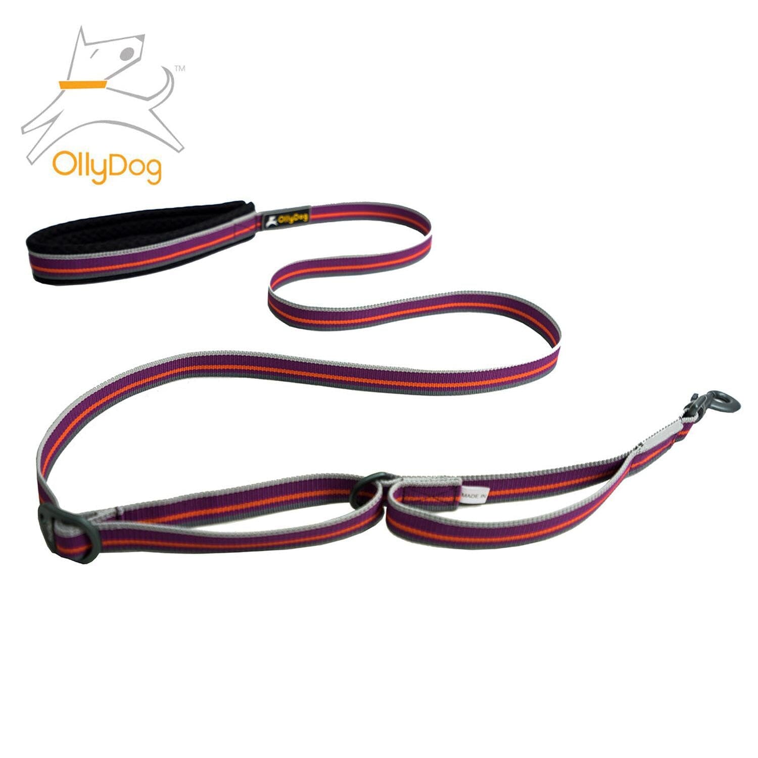 Correa Urbana para Perro WILD ASTER Violeta Ollydog Ollydog 