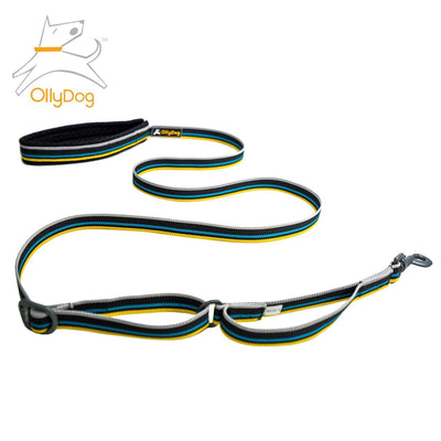 Correa Urbana para Perro ANTHRACITE Negro Ollydog Ollydog 