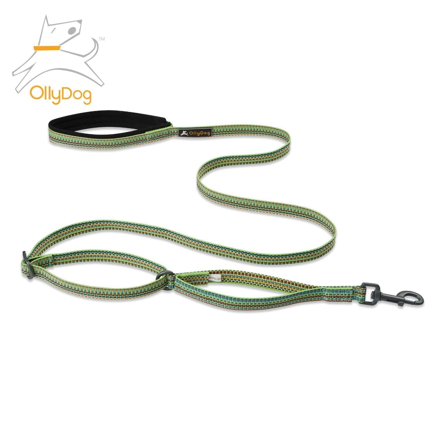 Correa Rústica para Perro PRISM GREEN Verde Ollydog Ollydog 