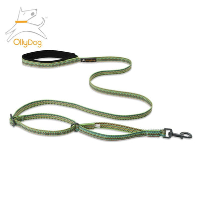 Correa Rústica para Perro PRISM GREEN Verde Ollydog Ollydog 