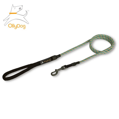 Correa de Montaña para Perro SURF Verde Ollydog Ollydog 