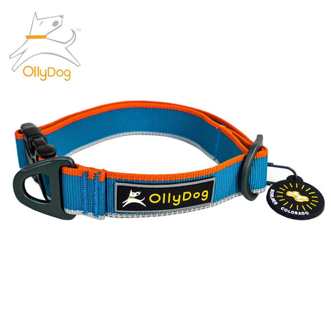Collar Urbano para Perro AIR BLUE Chico Azul Ollydog Ollydog Grande Azul 